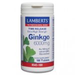 Lamberts Health Care Ginkgo 6000mg - Fill Size 180 Tablets