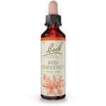 Bach Original Red Chestnut 20ml
