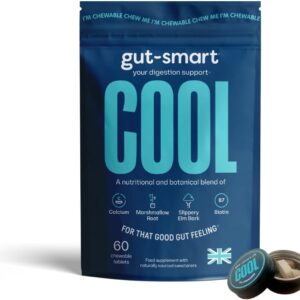 Gut-Smart Cool Natural Heartburn Relief 60 Chewable