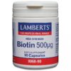 Lamberts Biotin 500ug 90 Capsules