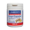 Lamberts Ginger Capsules 60 Capsules