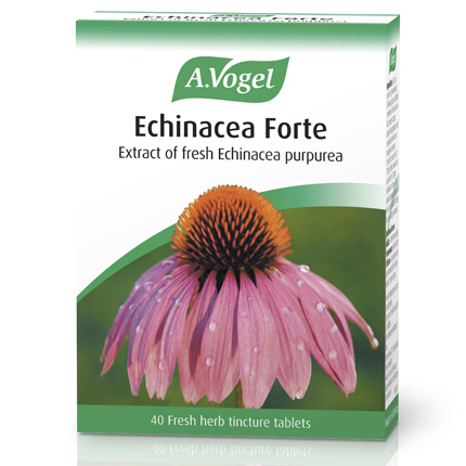 A Vogel Echinaforce Forte Cold and Flu 40 Tablets