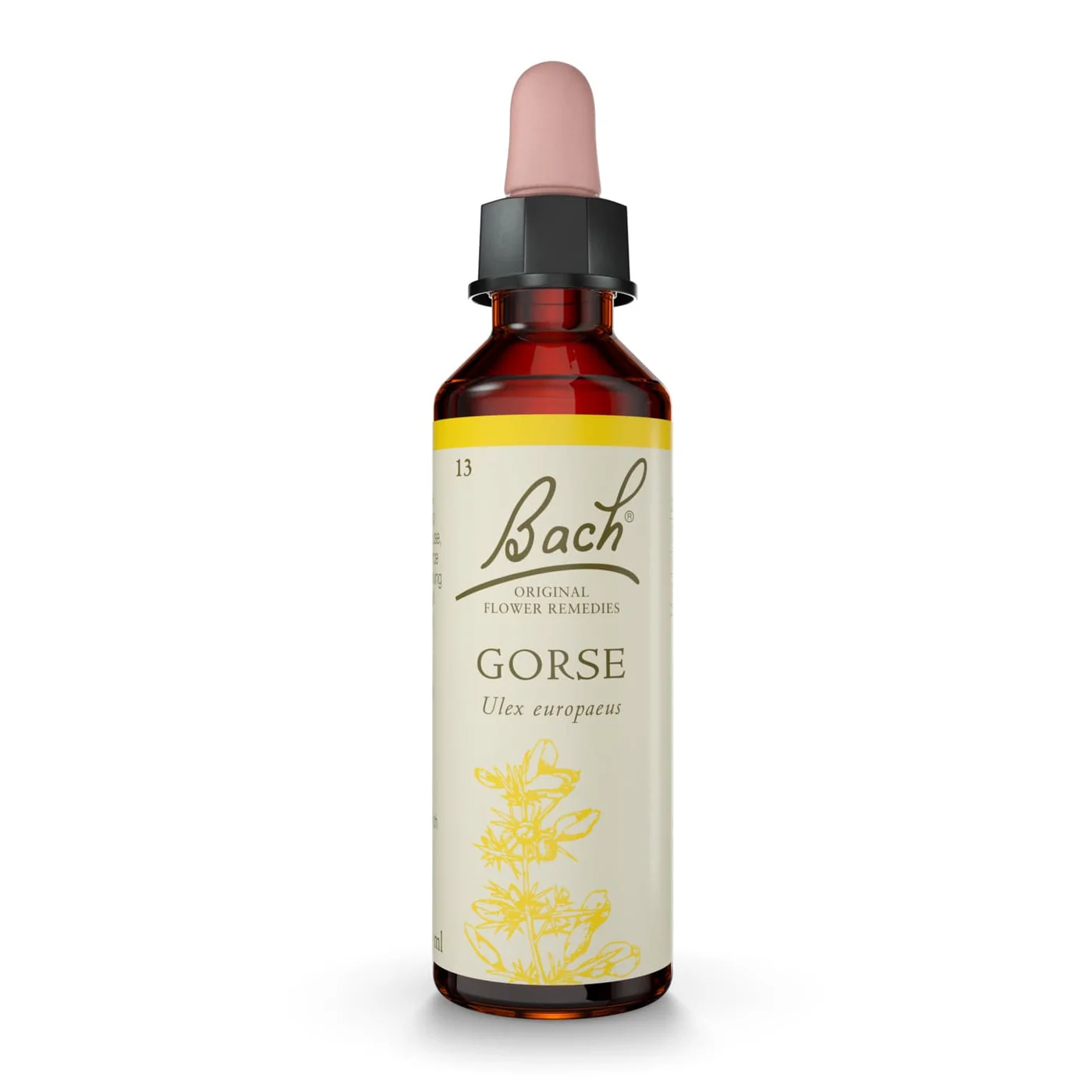 Bach Original Gorse 20ml