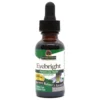 Nature's Answer Eyebright Herb Promotes Eye Health 30ml Herbal Liquid